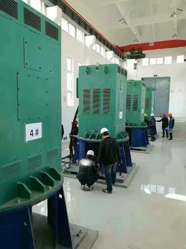 濠江某污水处理厂使用我厂的立式高压电机安装现场